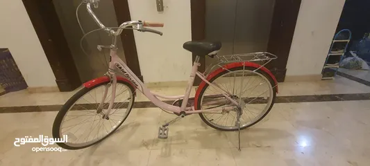  5 Girl Cycle for sale-12 BD only