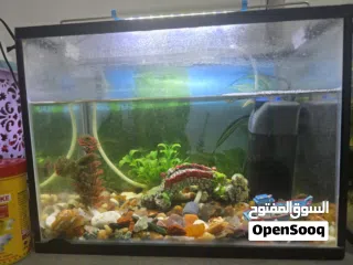  4 2 fish tank for sale  2احواظ سمك للبيع