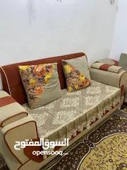  2 تخم قنفات البيع