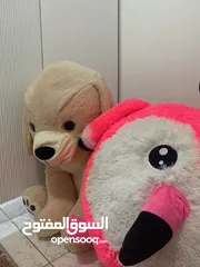  1 العاب ونترلاند