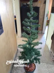  4 شجرة اصطناعية بحاله ممتازه