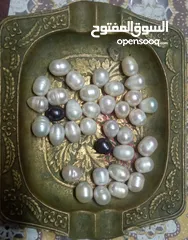 5 لؤلؤ زراعي