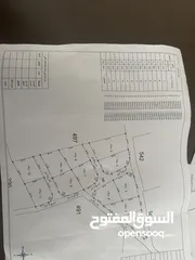  2 ارض للبيع في النقيرة حوض 3 البويضة