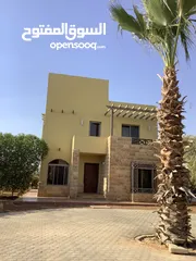  1 مزرعة في البحر الميت/ الشونه الجنوبية / السويمه / حوض جلد مميزة للبيع للجادين فقط
