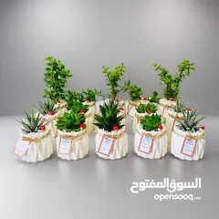  12 Handmade plant pots
