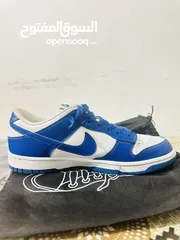  6 Nike blue panda