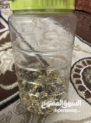  3 قفص هامستر