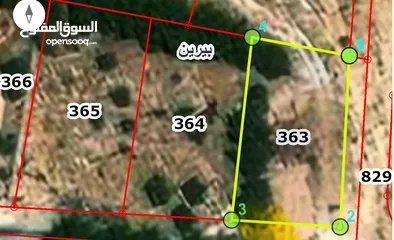  1 فرصة استثمارية ذهبية: 3 قطع أراضٍ متجاورة للبيع في بيرين القصبات بمساحة تفوق دونم ونصف