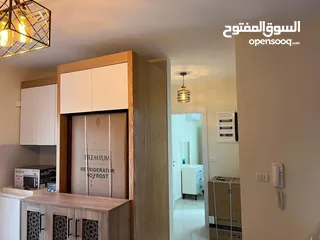  1 شقه مفروشه للايجار في المصيون