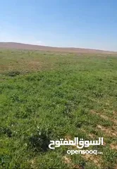  1 أرض 10 دنومات لقطة للبدل أو للبيع