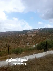  1 ارض بناء من اراضي برهام مع امكانيه تقسيط جزء من المبلغ