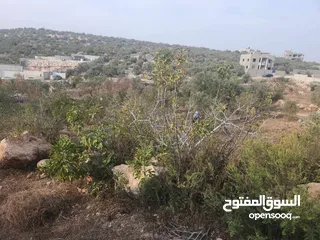  9 حصة 700 متر بالمسقوفة