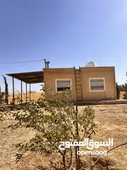  19 قطعة أرض وبيتين  ومزرعه جاهز للسكن