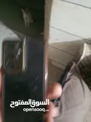  1 هاتف s21 الترا
