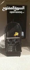  8 طيور للبيع