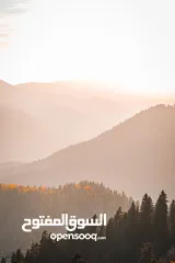  22 صور على الحائط (ستيكرز)