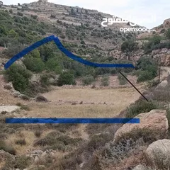  3 ارض زراعيه للبيع