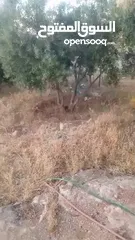 21 بيت للبيع في قريه دليله المطيرات شرق مادبا