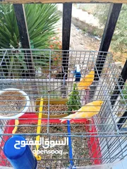  3 ذكرين كنار جاهزات بالصلاة على النبي
