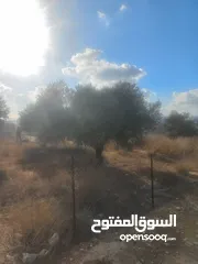  4 أرض مساحة 660 متر مطلة وعالية للبناء في ابو شخيدم