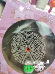  6 خداشة قطط مع سلك حديد و فارة و طابات من الداخل