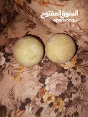  2 عشاق النوادر جوهرة الثعبان المضيئة