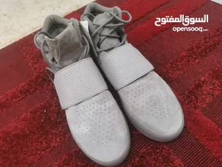  1 حذاء رياضي رجالي اديداس