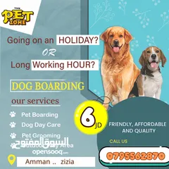  1 Dog boarding... The pet zone