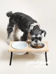  3 وعاء (ماعون) طعام خاص بالحيوانات