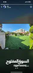  12 عشب صناعي اجود الانواع فتنامي امراتي اوربي سعودي ومصري واردني كفاله ما بعد البيع