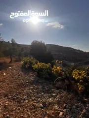  2 قطعة ارض مميزة في واد القف مرتفعة ومطلة