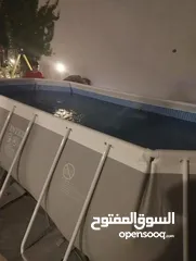 5 مسبح انتكس الامريكي بسعر خيالي