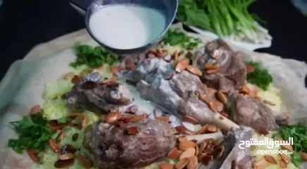  27 عروض بمناسبه عيد الاضحى العرض الاول والأقوى على مستوى المملكة فقط من جميد الربيع