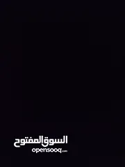  8 حساب بلوكس فروت للبيع  لفل 550  فواكه نادرة  فلوس 2,500,000  توزيع ممتاز  قابل للتفاوض