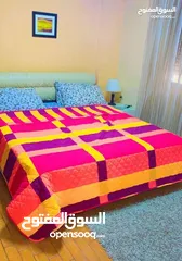  26 شقة مفروشه للايجار اليومي في اربد شارع الجامعه سوبر ديلوكس  بأسعار مناسبه للجميع