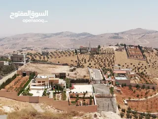  8 أرض للبيع في أم رمانه حوض الدغيليب بالقمة إطلالة خرافيه على عمان