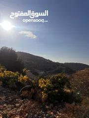  3 قطعة ارض مميزة في واد القف مرتفعة ومطلة