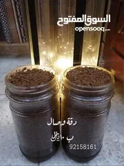  7 بخور متنوعة