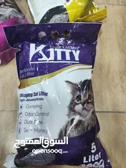  3 تراب قطط مميز كيتي