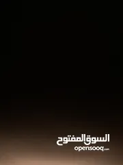  1 مطلوب جرو هاسكي ذكر ثلاث اشهور او اقل
