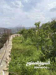  19 بيت ريفي مع مزرعة