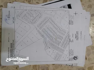  2 ارض للبيع في عين الباشا على مسطح صالح للبناء بيع من المالك مباشرة السعر قابل للتفاوض بشيء بسيط