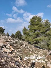  3 أرض للبيع في الصفا ذات اطلالة على الأحراش