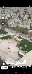  1 فارس شاهين