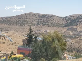  5 خمس دونمات في بيرين على شارعين بسعر مغري لفيلا او مزرعة
