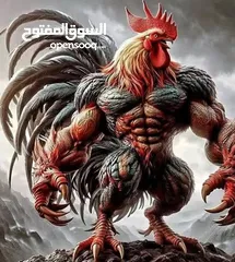  19 بيض مخصب براهمه الصلاة على النبي سعر البيضه .75 قرش