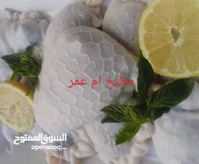  3 مطبخ ام كريم طبخات البيتيه