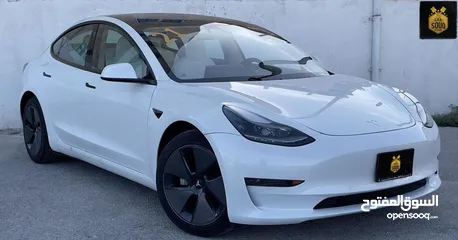  1 Tesla Model 3 2021 Stander Plus