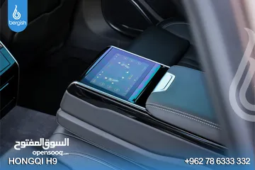  11 Hongqi_H9_ Mild Hybrid_2023