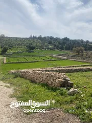  2 دنم ارض للبيع في السلط الصبيحي ميسره بالقرب من مطعم الطلع الغربيه